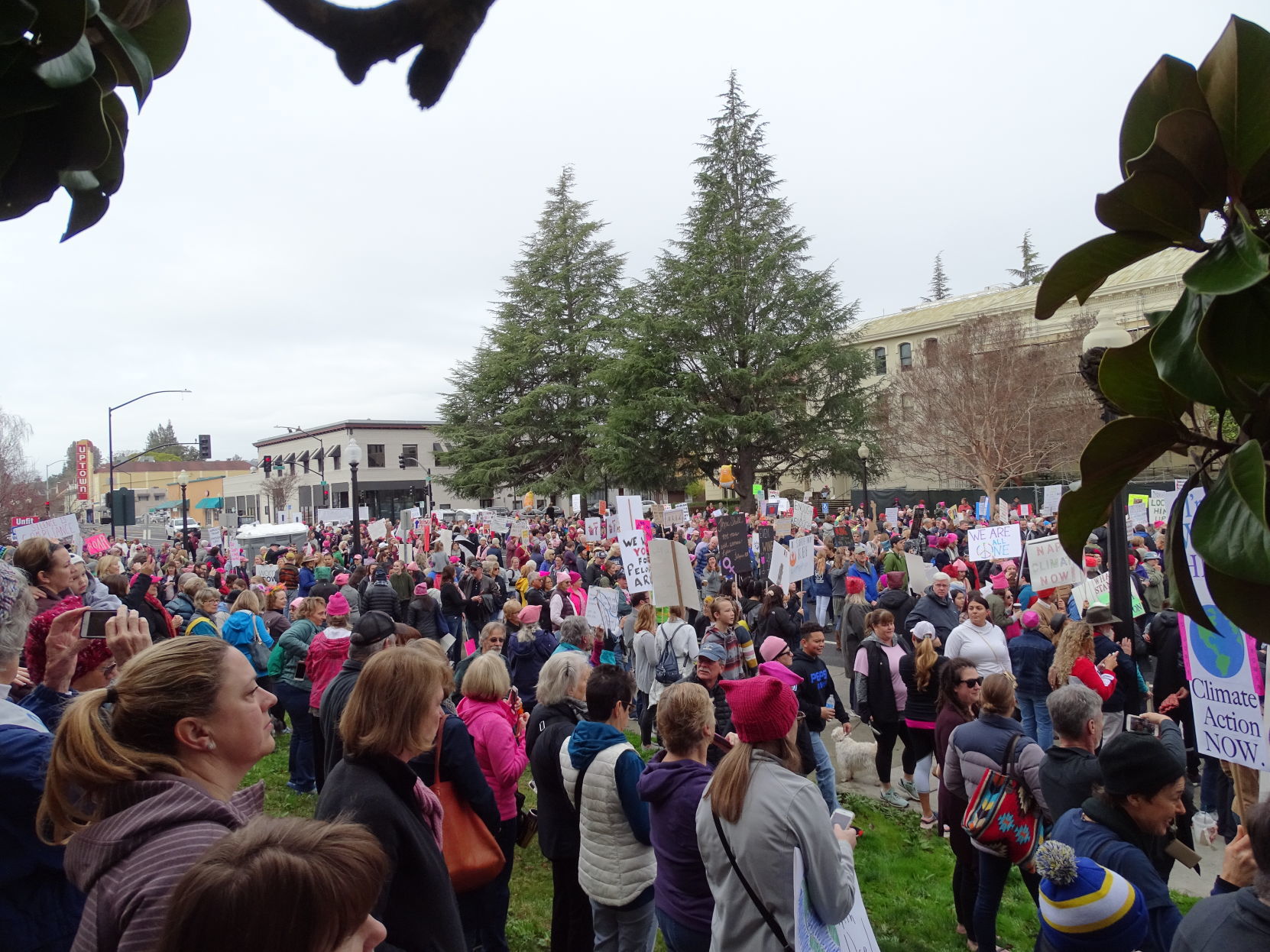 Women's March Napa Valley 2019